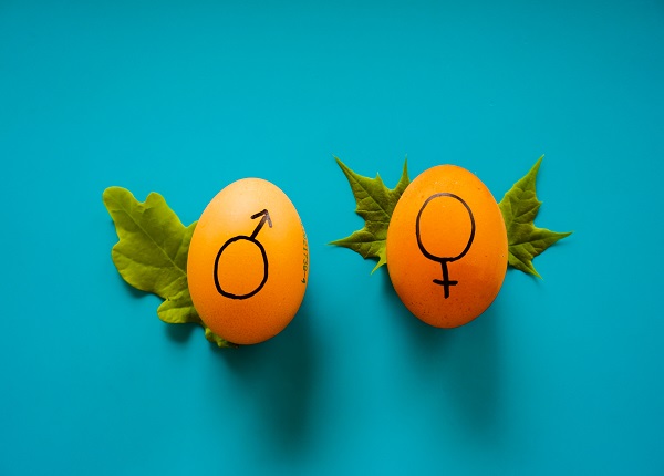 Gender symbols on eggs